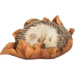 Baby Hedgehog In Leaf F