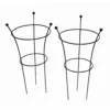 Botanical Herbaceous Plant Support Small Twin Pack