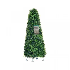 Boxwood Obelisk 60Cm
