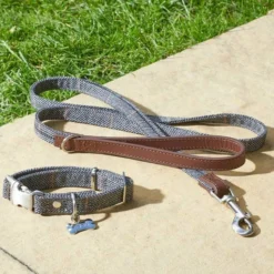 Country - Slate S Walkabout Dog Lead (120cm X 1.5cm)
