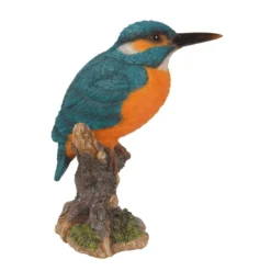 Kingfisher On Stump F