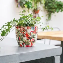 Monza Tropical Parrot H17cm D17cm