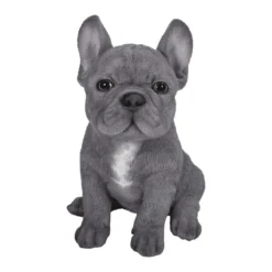 Pet Pals Blue French Bulldog F