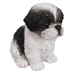 Pet Pals ShihTzu PuPet Palsy B/W F