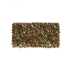 Red Variegated Beech Trellis 1m X 2m