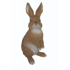 Real Life Lookout Rabbit C