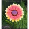 Sunflower Flower Stake Greenkey